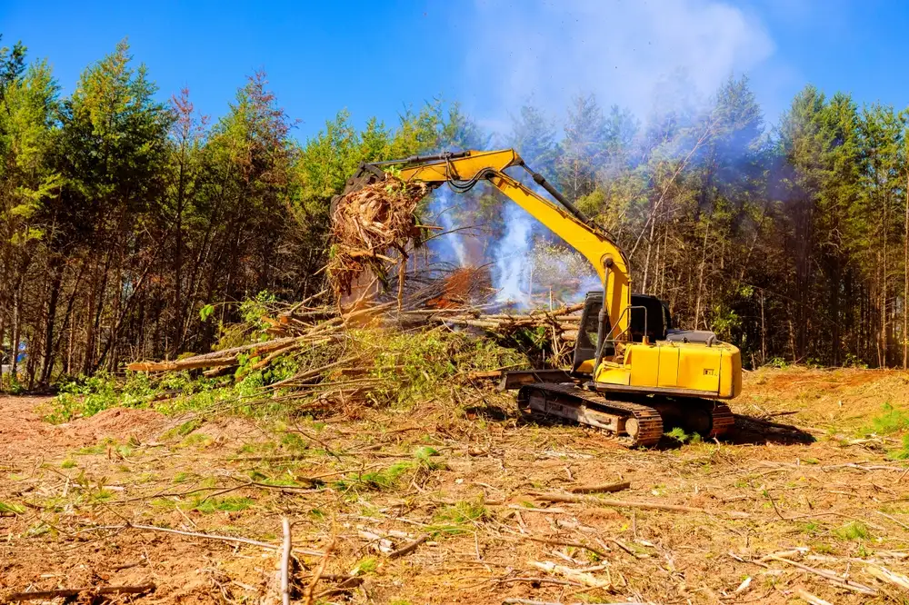 : Excavator clearing trees and land in Vestavia Hills AL