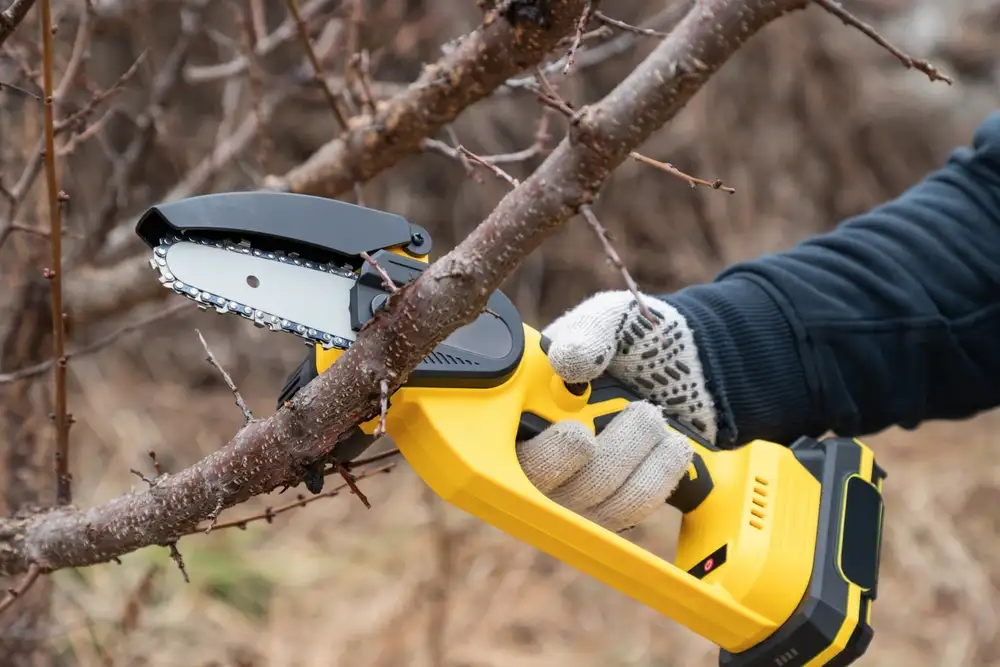 Worker trimming tree branches with chainsaw in Birmingham AL