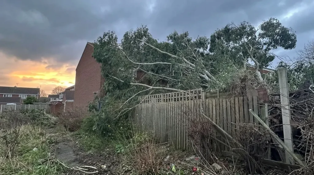 Storm damaged fallen tree on fence driveway Birmingham Alabama