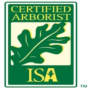 ISA Certified Arborist providing professional tree care services in Birmingham AL